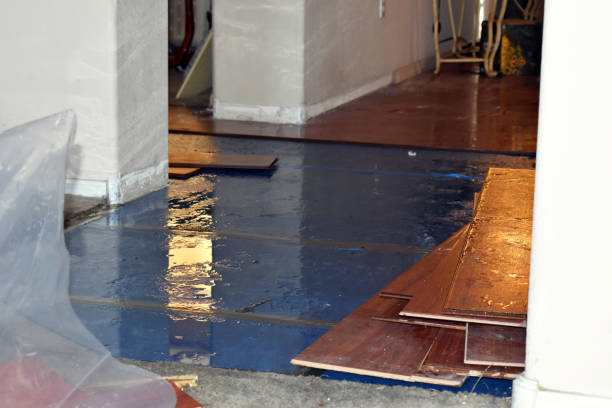 Professional Burst Pipe Cleanup technician working in Six Lakes, MI